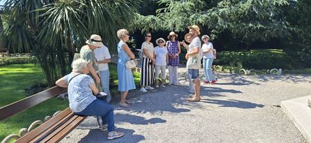 Z vsake pinije jeseni odstranijo vse suhe dele, zato da lažje kljubujejo neurjem